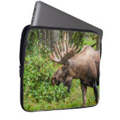 Elch | Kenai Halbinsel, Alaska Laptopschutzhülle (Vorne Rechts)