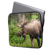 Elch | Kenai Halbinsel, Alaska Laptopschutzhülle (Vorderseite Links)