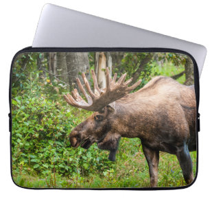 Elch Kenai-Halbinsel, Alaska Laptopschutzhülle
