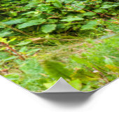 Elch | Kenai-Halbinsel, Alaska Poster (Ecke)