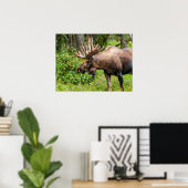 Elch | Kenai-Halbinsel, Alaska Poster (Heimbüro)
