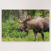 Elch | Kenai Halbinsel, Alaska Puzzle (Horizontal)