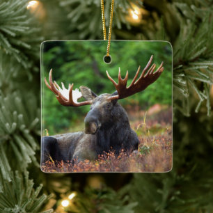 Elch Keramikornament