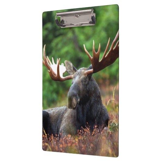 Elch Klemmbrett (Links)