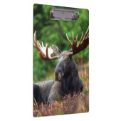 Elch Klemmbrett (Rechts)