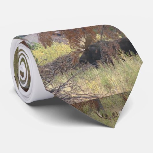 Elch-Krawatte Krawatte (Gerollt)