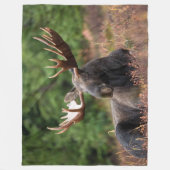 Elch, Land, Wildtiere, Foto, Gewohnheit Fleecedecke (Vorderseite)