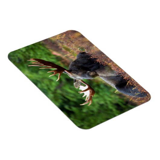 Elch Magnet (Rechte Seite)