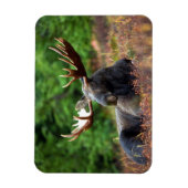 Elch Magnet (Vertikal)