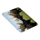 Elch Magnet (Rechte Seite)