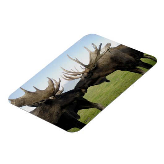 Elch Magnet (Linke Seite)