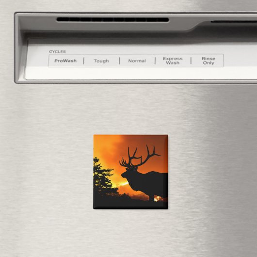 Elch Magnet (In Situ (Geschirrspüler))