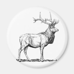 Elch Magnet