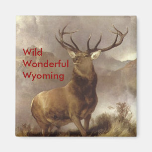 ELCH-MAGNET-BERG "WILDES WUNDERBARES WYOMING " MAGNET