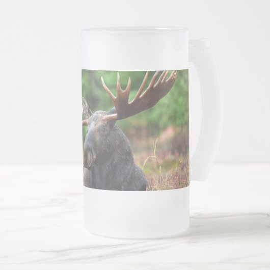 Elch Mattglas Bierglas (VorderseiteRechts)