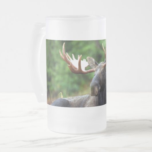 Elch Mattglas Bierglas (Vorderseite Links)