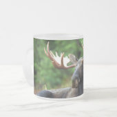 Elch Mattglastasse (Vorderseite Links)