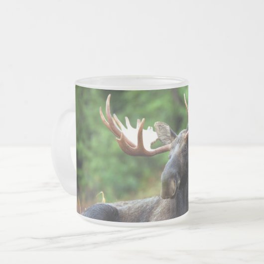 Elch Mattglastasse (Vorderseite Links)