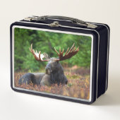 Elch Metall Brotdose (Vorderseite)