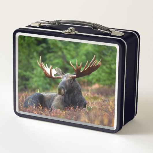 Elch Metall Brotdose (Vorderseite)