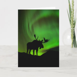 Elch mit grünem Nordlicht, Alaska Karte