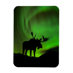 Elch mit grüner Aurora Borealis, Alaska Magnet