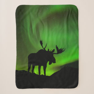 Elch mit grüner Aurora Borealis, Alaska Sherpadecke