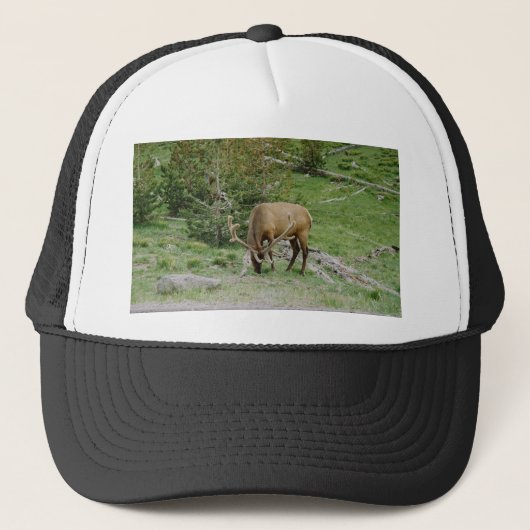 Elch mit Samt Antler Truckerkappe (Vorderseite)