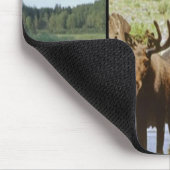 Elch Mousepad (Ecke)