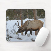 Elch Mousepad (Mit Mouse)