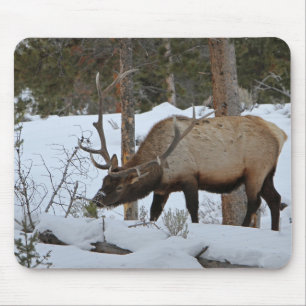 Elch Mousepad
