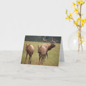 Elch Note Card Karte (Gelbe Blume)