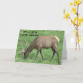 Elch nur eine Fleisch Wunde bekommen gute Karte (Gelbe Blume)