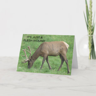Elch nur eine Fleisch Wunde bekommen gute Karte