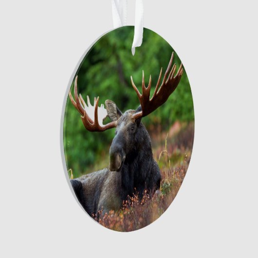 Elch Ornament (Vorderseite)