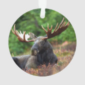 Elch Ornament (Rückseite)