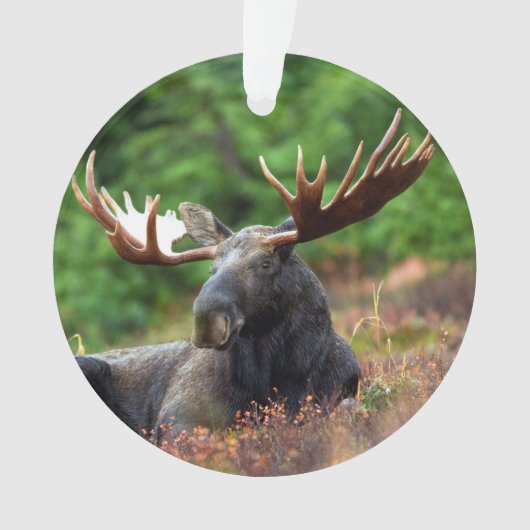 Elch Ornament (Vorderseite)