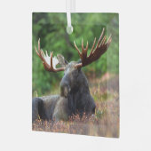 Elch Ornament Aus Glas (Vorderseite links)