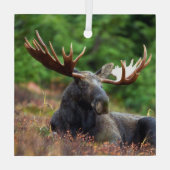 Elch Ornament Aus Glas (Rückseite)