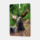 Elch Ornament Aus Metall (Vorderseite links)