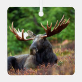 Elch Ornament Aus Metall (Rückseite)