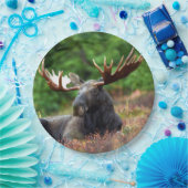 Elch Pappteller (Party)