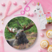 Elch Pappteller (Party)