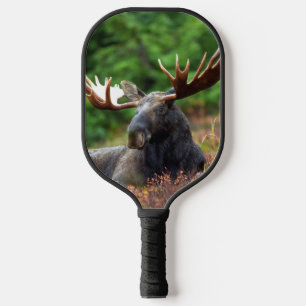 Elch Pickleball Schläger