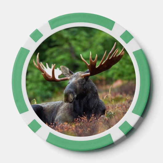 Elch Pokerchips (Rückseite)