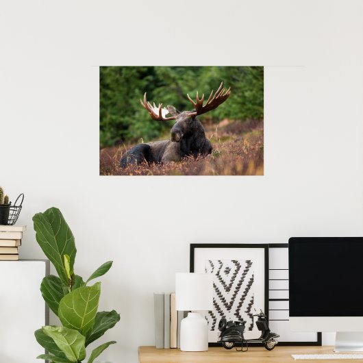 Elch Poster (Heimbüro)