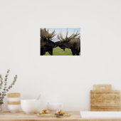 Elch Poster (Küche)