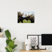 Elch Poster (Heimbüro)