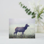 Elch Postkarte (Stehend Vorderseite)