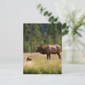 Elch Postkarte (Stehend Vorderseite)